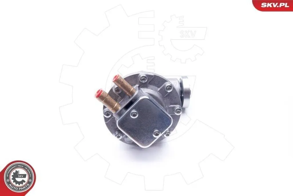Pompe à vide système de freinage Fiat Ducato 290 - Remplacement 18SKV019