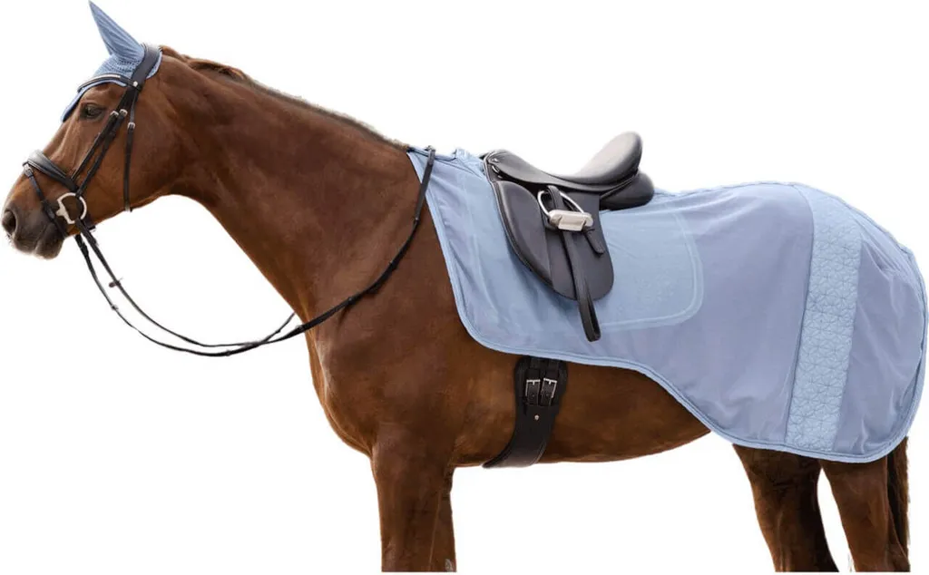 Protection Faciale Poney contre Mouches et Taons en Maille Bleue PON