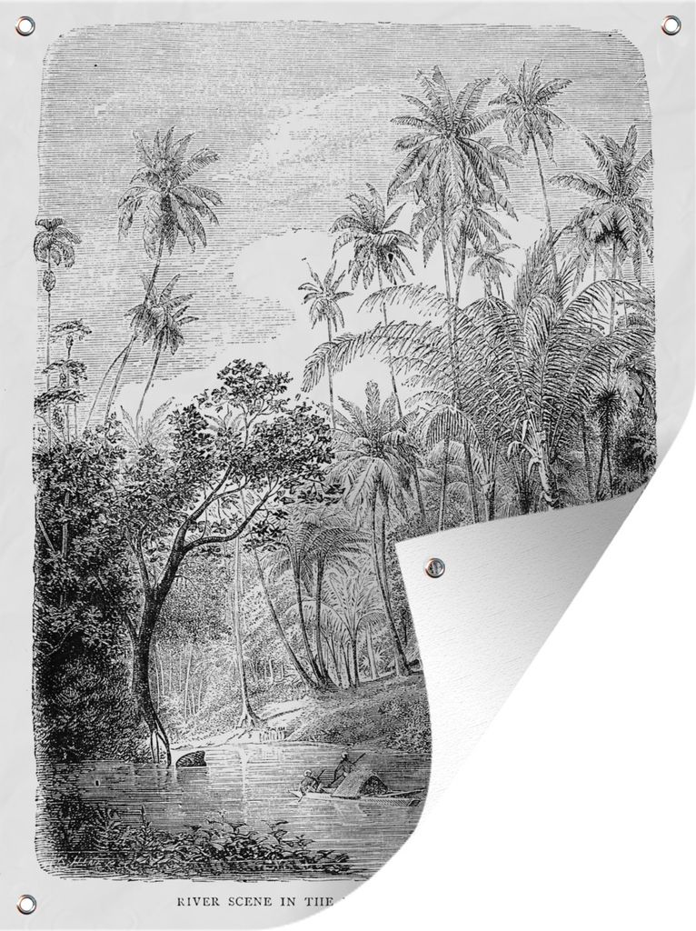 MuchoWow 30x40 cm Outdoor-Poster Gartendeko Sichtschutz Garten Poster für den Garten Eine Illustration einer Palmenreihe in Sri Lanka