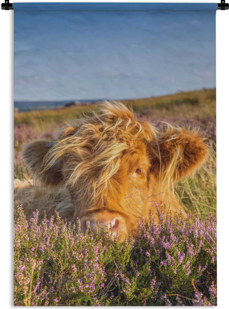 MuchoWow Wandteppich Wandbehang Schottische Highlander - Heide - Gras - Tiere 60x90 cm Tapisserie Dekoration Wandtuch - Foto-Teppich - Abwaschbar