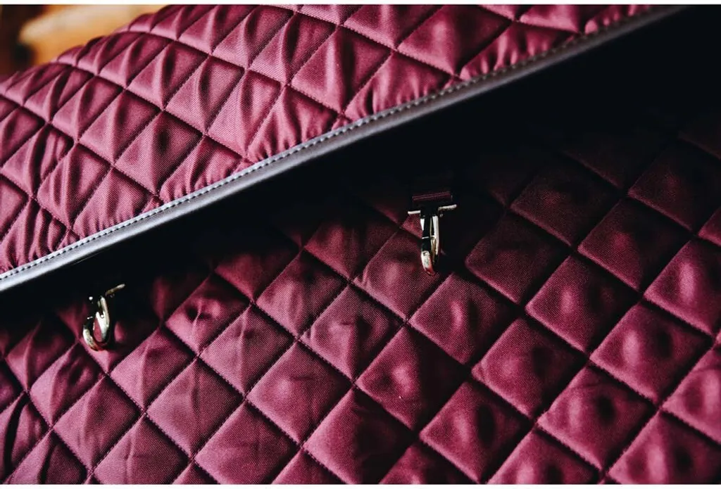 Rideau d'Écurie Kentucky pour Box - Protection Bordeaux pour Concours - 2