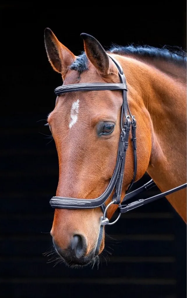 Bridon Salisbury Berkeley ER1520 : cuir souple pour poney sensible noir