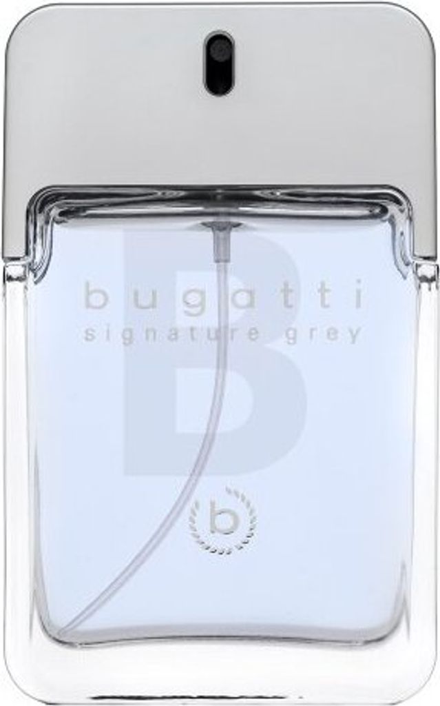 Bugatti Signature Grey Eau de Toilette für Herren 100 ml