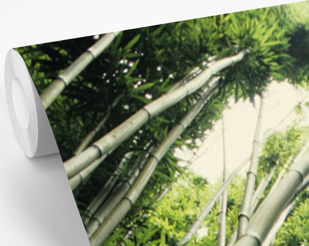 MuchoWow Fototapete für Wohnzimmer oder Schlafzimmer Wandtapete Vinyl Motivtapete Bambuswald Hawaii - 175x260 cm - Vinyltapete