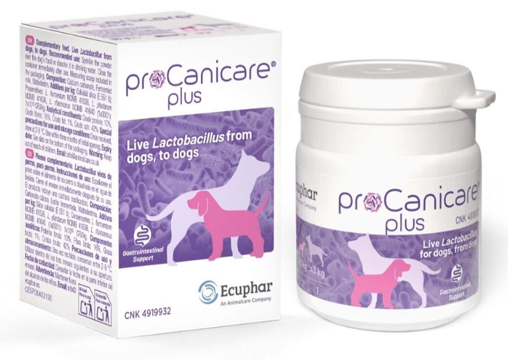 Procanicare PLUS 30g Produktbild 