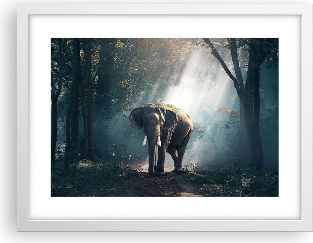 Gerahmtes Poster - Weißer Rahmen - elefant natur - 40x30 cm Produktbild 