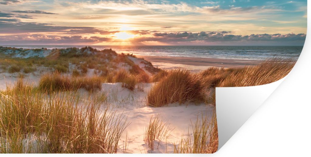 MuchoWow Wandtattoo Wandsticker Wandaufkleber Düne - Pflanzen - Sonnenuntergang - Strand - Meer 40x20 cm Selbstklebend und Repositionierbar - Au...