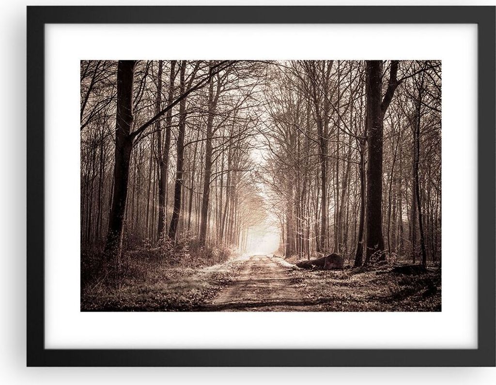 Gerahmtes Poster - Schwarzer Rahmen - Wald Straße Baum - 40x30 cm - Wand Bild - Wanddeko - Wandbilder - Kunstposter - Wandposter - Bilderrahmen - ...