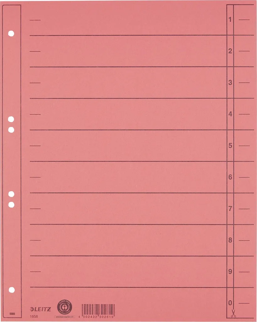 Leitz 16580025 Divisori A4 Rosso 230g - 100 Pezzi per Ufficio
