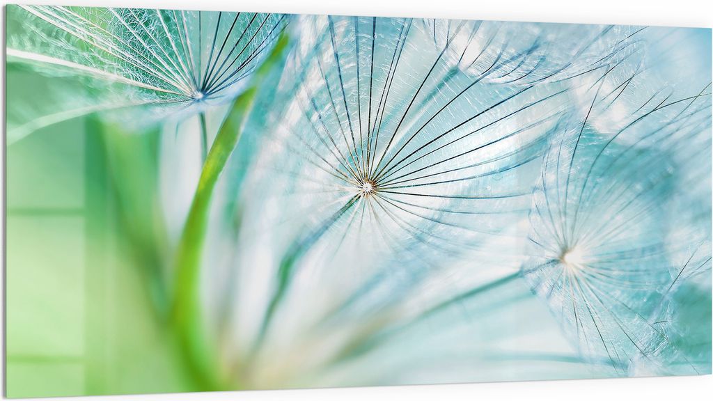 DEQORI Küchenrückwand Glas 100x50 cm 'Flüstern des Winds' Spritzschutz Bad Rückwand Küche