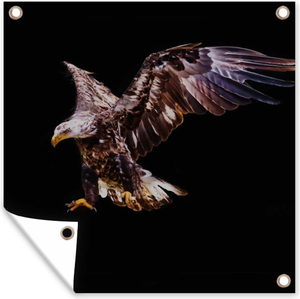 MuchoWow 50x50 cm Outdoor-Poster Gartendeko Sichtschutz Garten Poster für den Garten Adler - Vogel - Federn