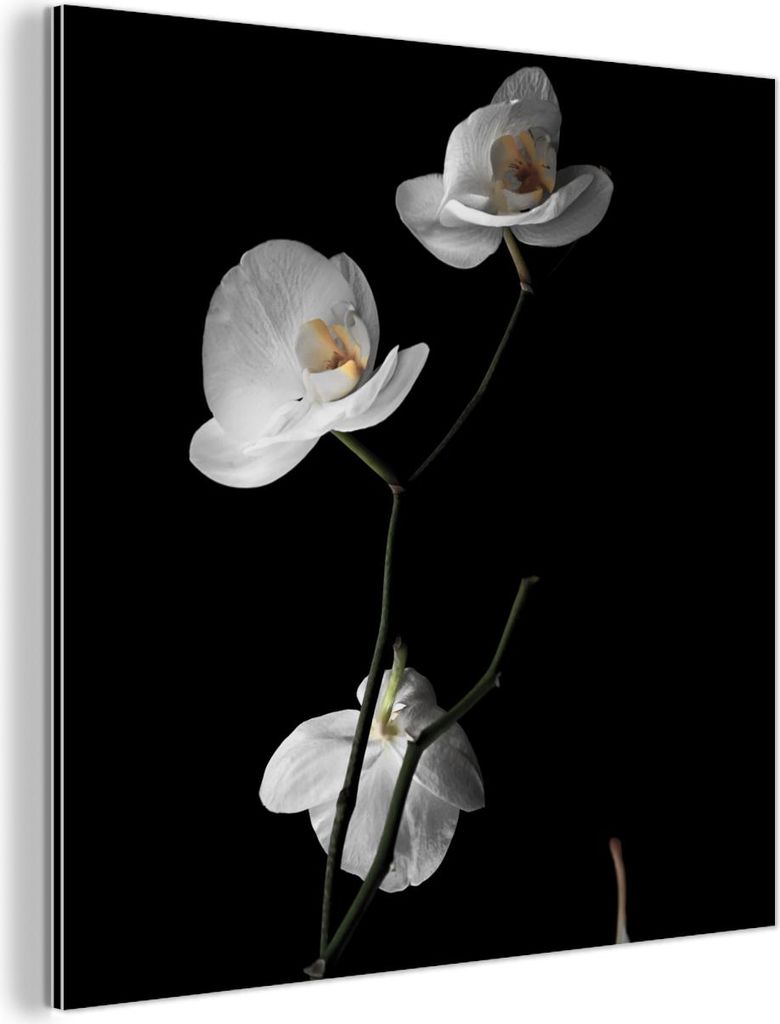 MuchoWow Wanddekoration Metall Metallbild Wandkunst 50x50 cm Orchidee - Blumen - Schwarz - Weiß - Stilleben MuchoWow Aluminium Gemälde - Alubild ...