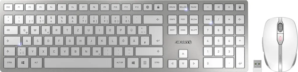 Pack Clavier QWERTZ Cherry JD-9100DE-1 et Suite Antivirus McAfee 3 Postes