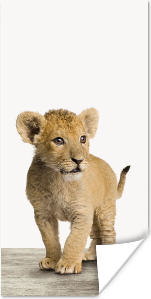 MuchoWow Poster Löwe - Junge - Kinder - Jungen - Tiere - Mädchen 20x40 cm - Plakat - Foto