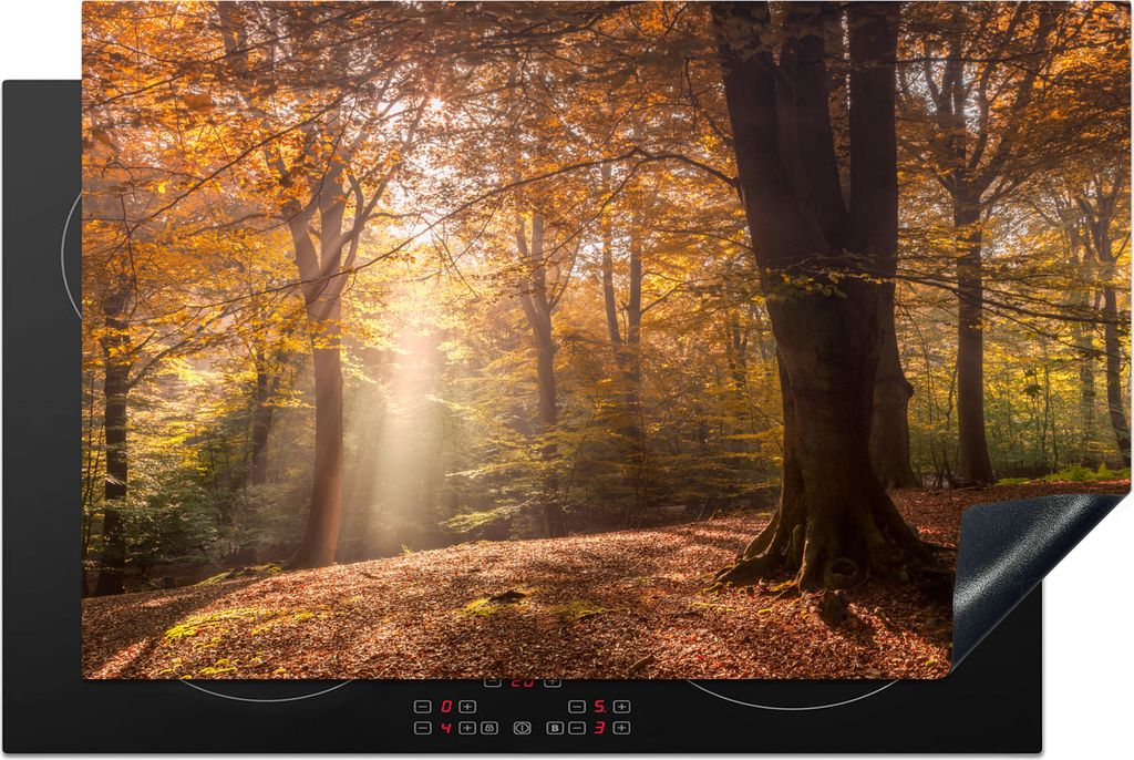 KitchenYeah Herdabdeckplatte Bäume - Herbst - Orange , 81x52cm, Küche Deko, Ceranfeld Herdabdeckung, Abdeckplatte fùr Kochfeld