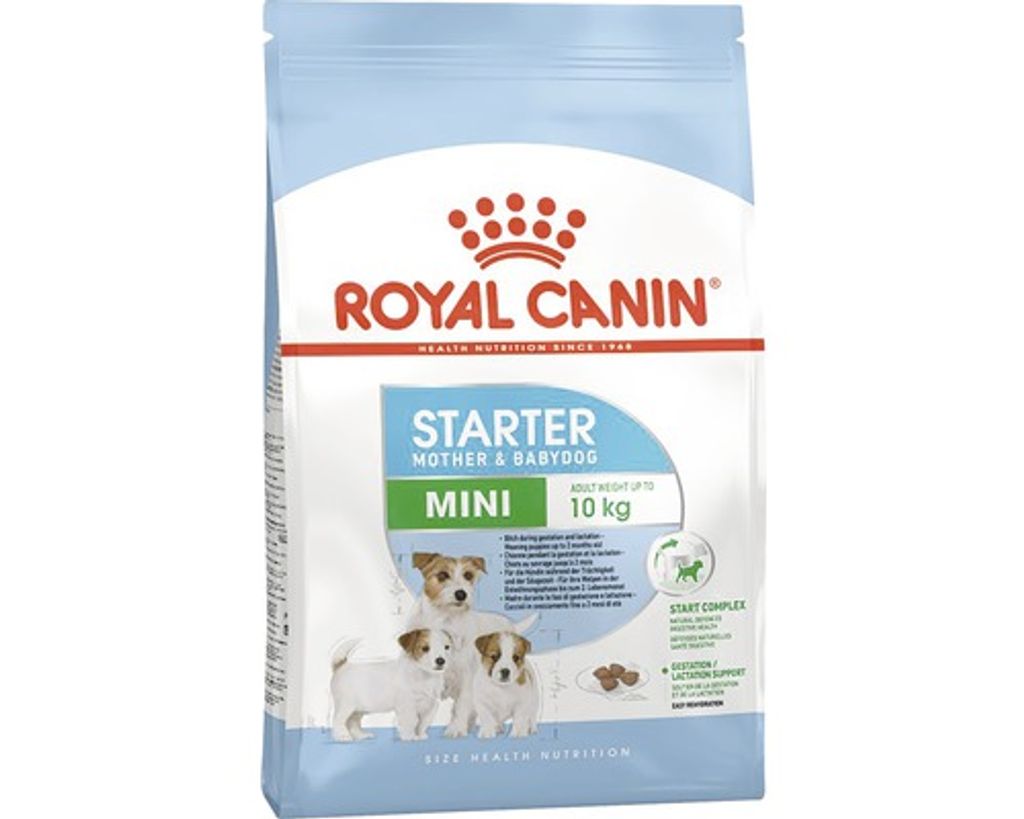 ROYAL CANIN Mini Starter Mother & Babydog 1kg Hündinnen Produktbild 