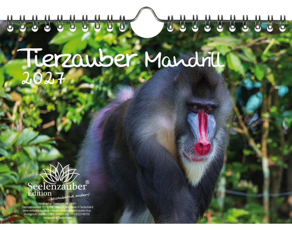 Tierzauber Mandrill DIN A5 Kalender für 2027 Affen - Seelenzauber