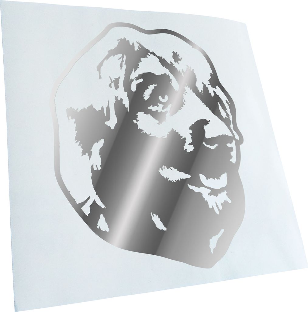 Kiwistar - Autoaufkleber - leonberger Hund - Chrom - 60x46cm - Aufkleber für Auto, Laptop, Fahrrad, LKW, Motorrad mehrfarbig JDM Decal Racing