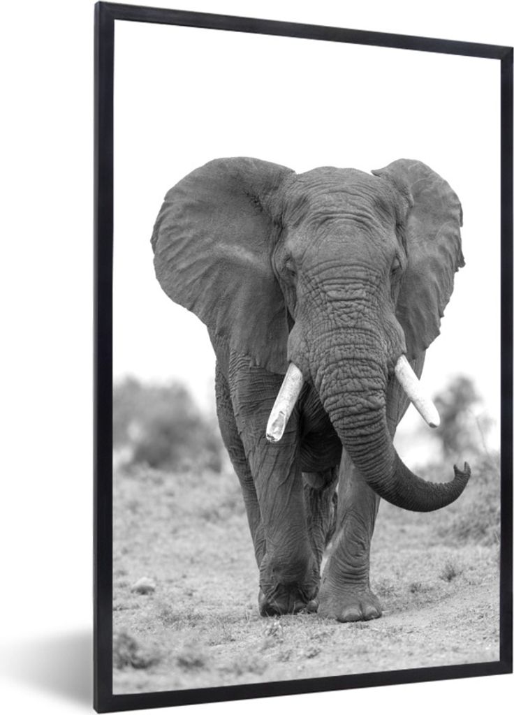 MuchoWow Gerahmtes Poster Annähernder Elefant - schwarz und weiß 40x60 cm - Poster mit Schwarzem Bilderrahmen Wandposter Rahmen Foto Bilder - P...