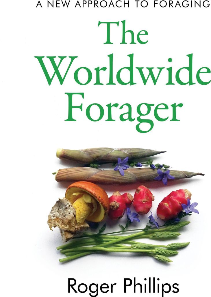 The Worldwide Forager