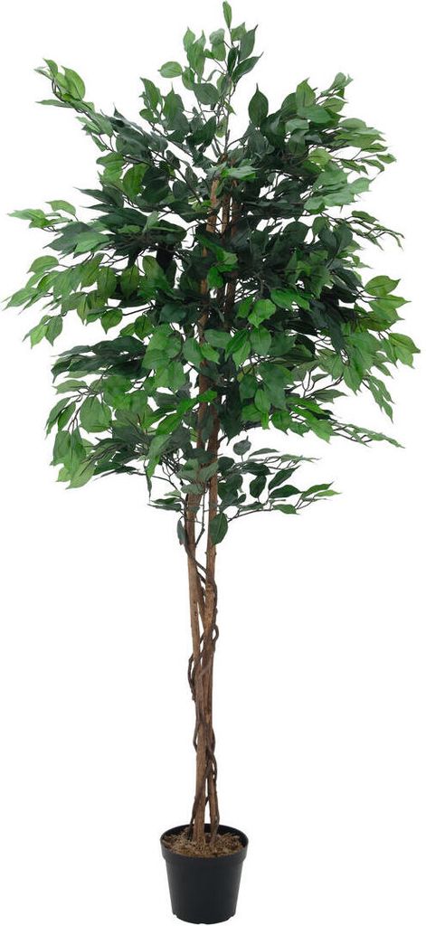 EUROPALMS Ficus-Benjamini Multi-Stamm, Kunstpflanze, 210cm