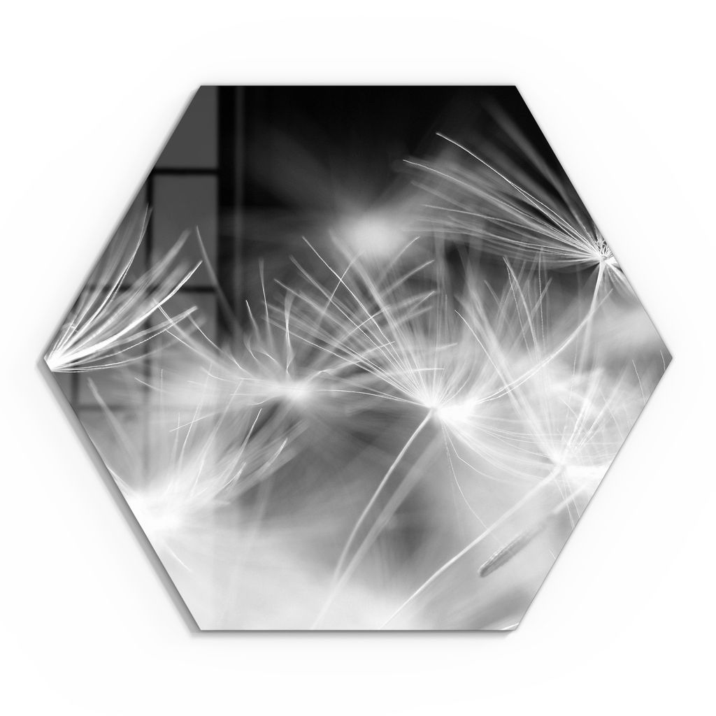 DEQORI Glasbild Echtglas 40x35 cm 'Pusteblumenflug' Wandbild Bild modern Deko