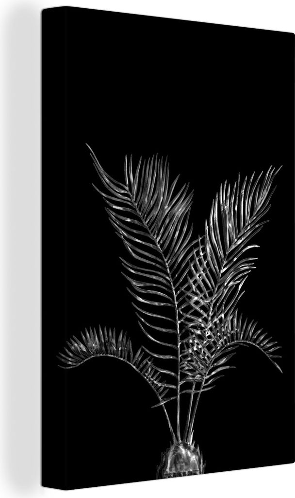 MuchoWow - Leinwandbilder - Blätter einer Palme auf schwarzem Hintergrund - schwarz und weiß, Wandbild, Wanddeko Bilder Wohnzimmer, 80x120 cm