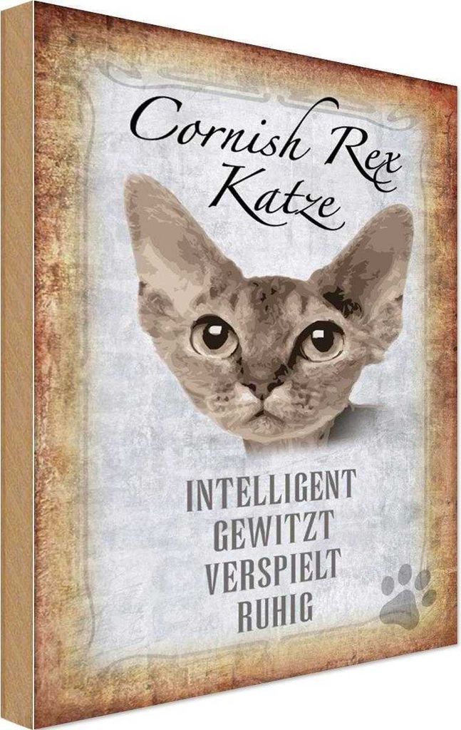 vianmo Holzschild 30x20 cm Cornish Rex Katze Tier Haustier