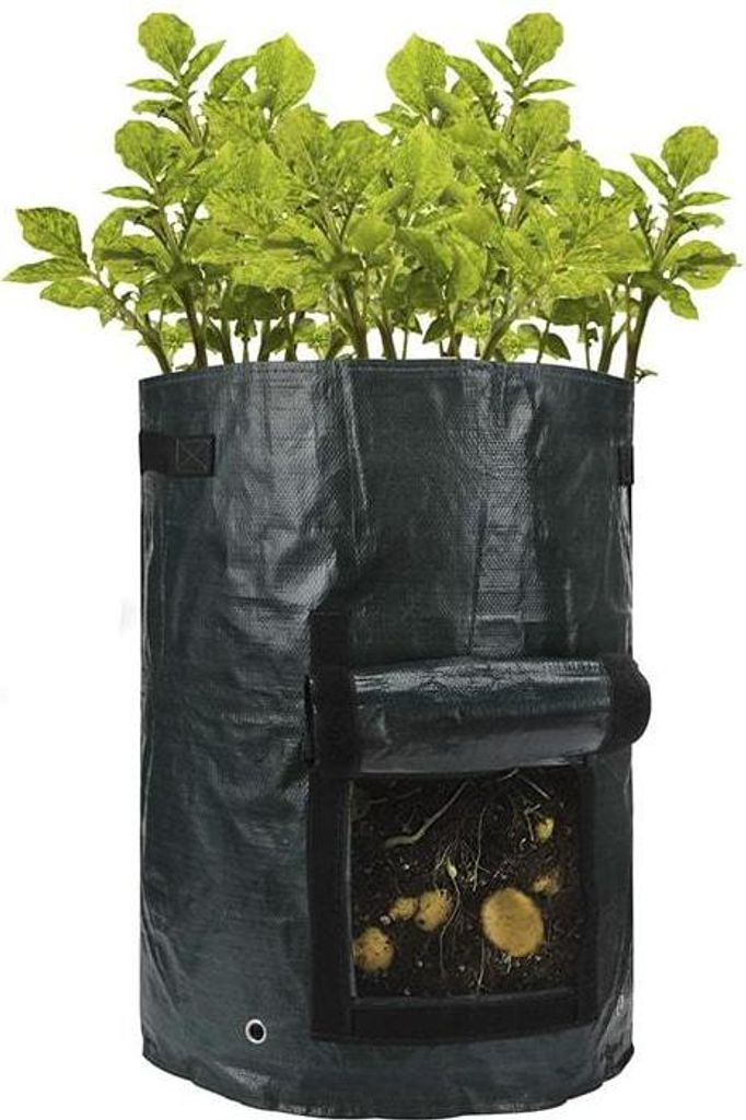 Gro-Sack - Bauen Sie -Lebensmittel auf Ihrem Balkon an