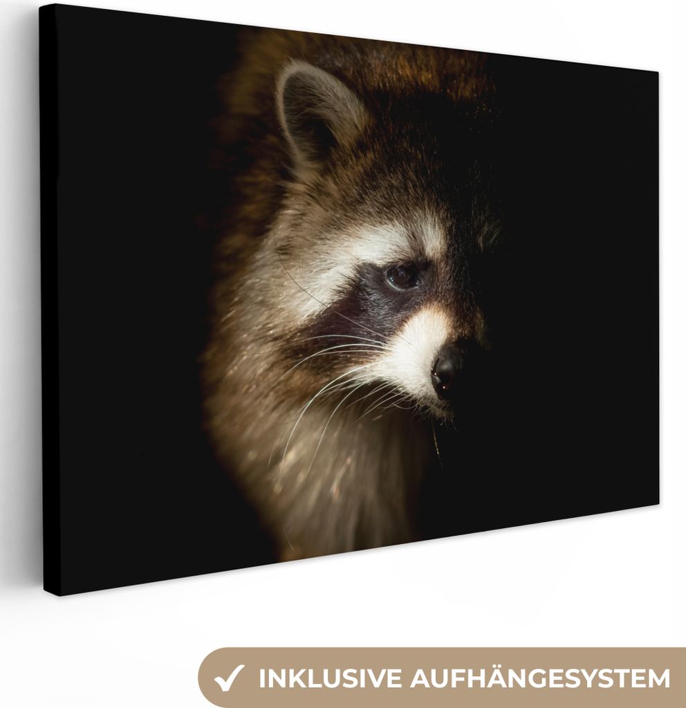 OneMillionCanvasses - Leinwandbilder - 150x100 cm, Waschbär - Wilde Tiere - Schwarz, Wandbilder Kunstdruck Wanddekoration