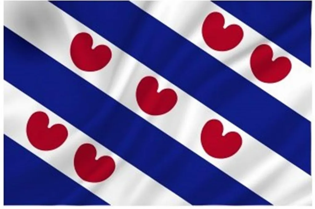 Drapeau Frise Dokkumer Anti-Déchirure 50x75 cm en Polyester Haute Qualité