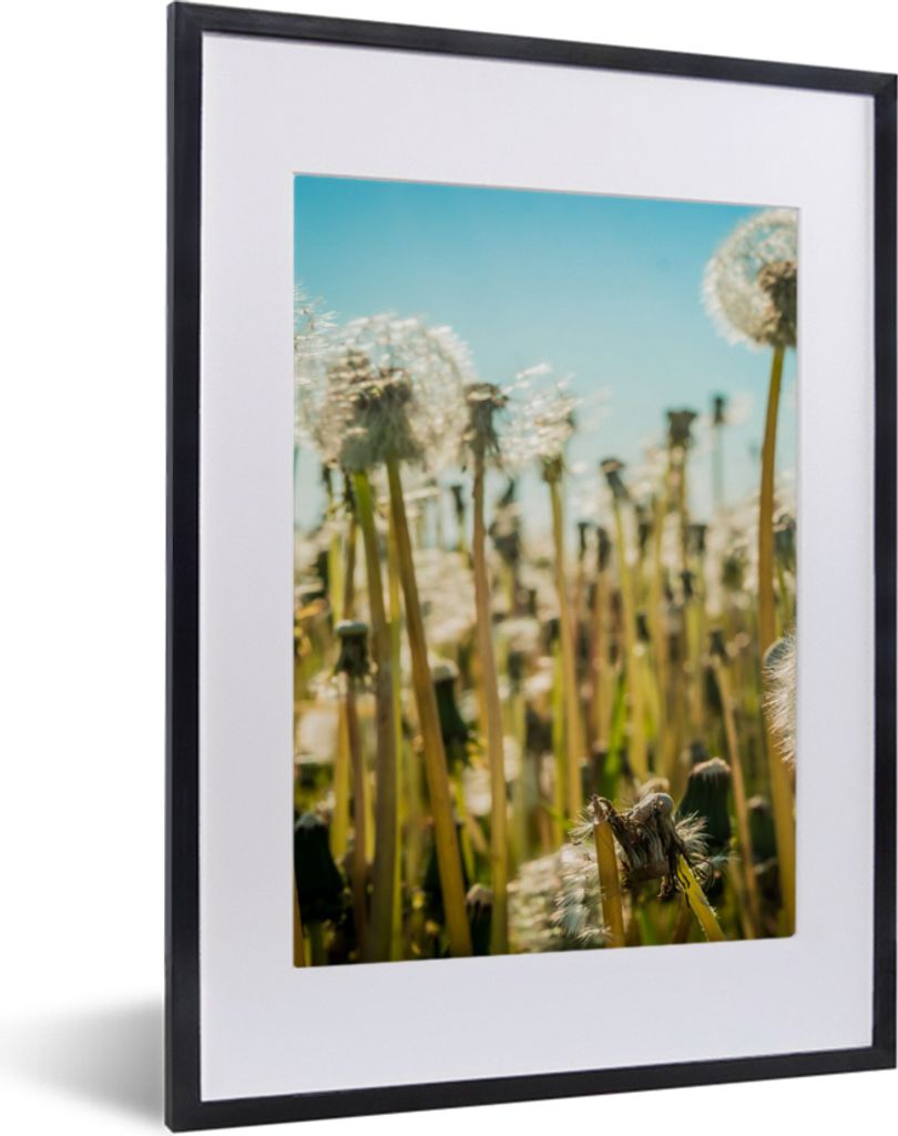 MuchoWow Gerahmtes Poster Blumen - Löwenzahn - Gras 30x40 cm - Poster mit Schwarzem Bilderrahmen Wandposter Rahmen Foto Bilder - Wandposter Schl...