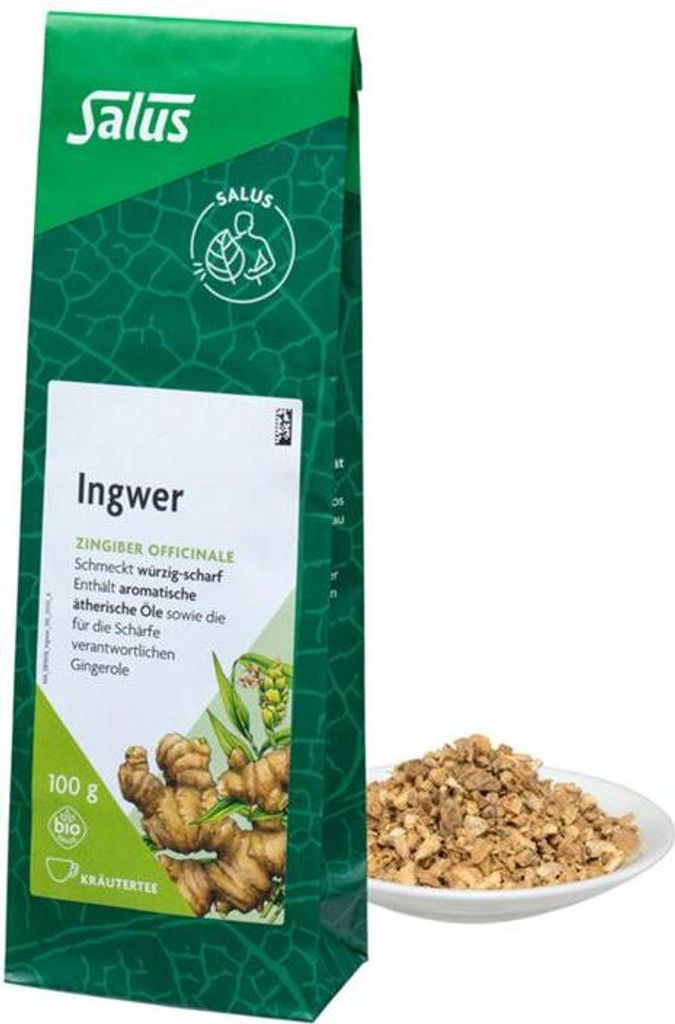 INGWER GEWÜRZTEE Zingiber officinale Salus