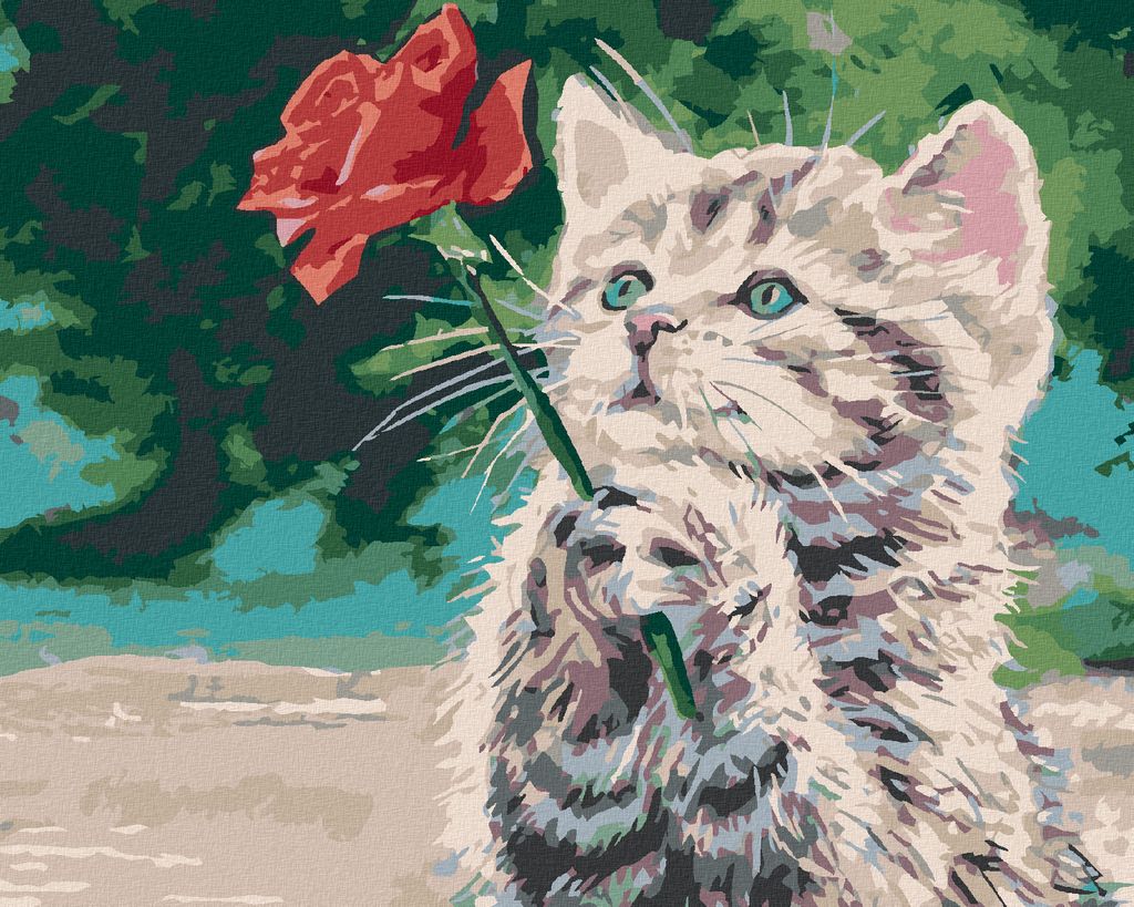 Zuty - Malen nach Zahlen - KÄTZCHEN UND ROTE ROSE, 40x50 cm, mit Keilrahmen (bereits gespannt)