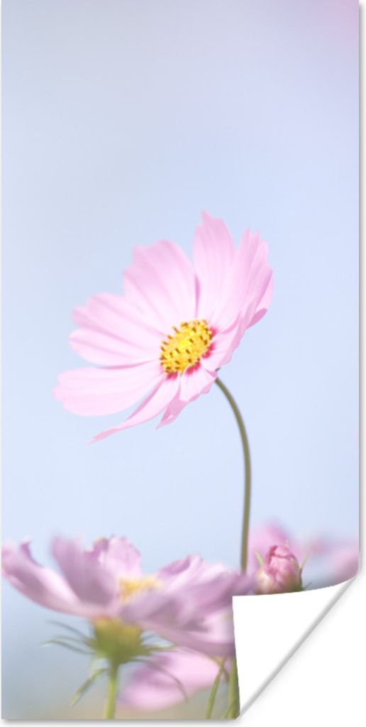 MuchoWow Poster Blumen - Rosa - Draußen - Natur 75x150 cm - Dekoration für die Wände