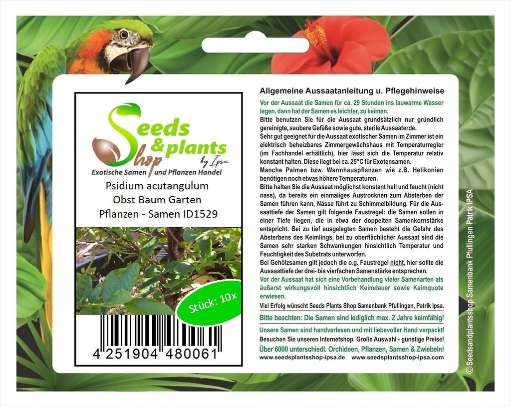 10x Psidium acutangulum Obst Baum Garten Pflanzen - Samen ID1529