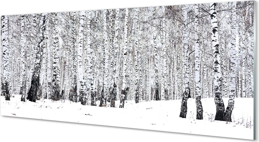 Glasbilder 125x50 Wandkunst Winter Birken