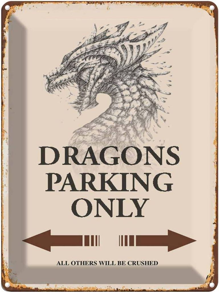vianmo Blechschild 40x30 cm Dragons parking only