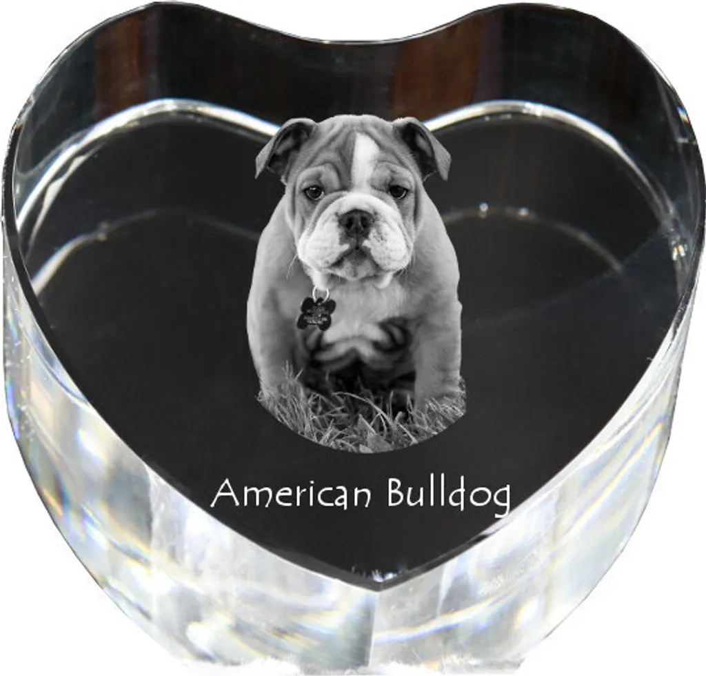 Regalo Bulldog Americano: Il Cuore in Cristallo Art-Dog è la Scelta Top