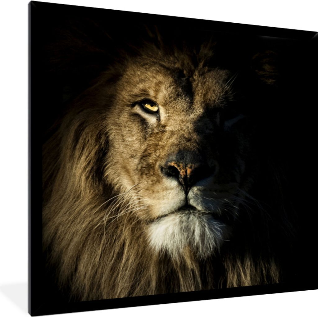MuchoWow MuchoWow Gerahmtes Poster Löwe - Tier - Schwarz 40x40 cm - Poster mit zchwarzem Bilderrahmen - Mit Rahmen - Wanddekoration Schlafzimmer