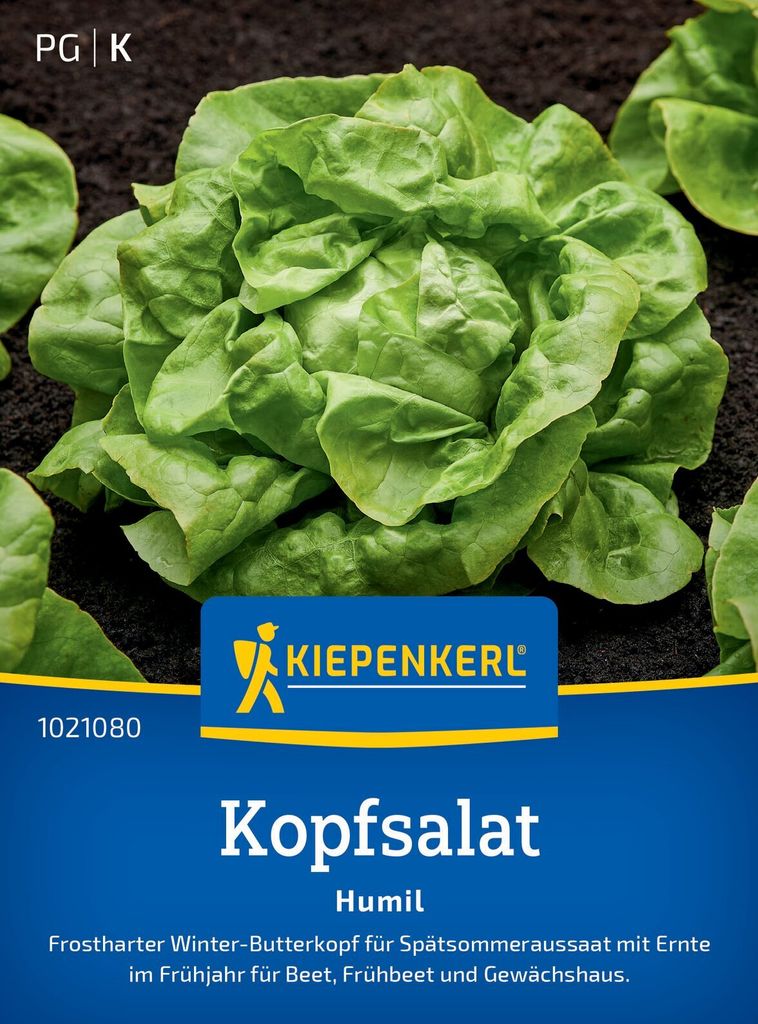 Kiepenkerl Kopfsalatsamen Humil Lactuca sativa 150 Pflanzen