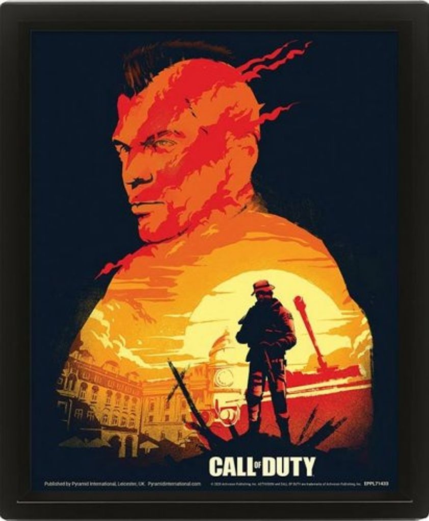 3D Obraz Call of Duty (Sonnenuntergang)
