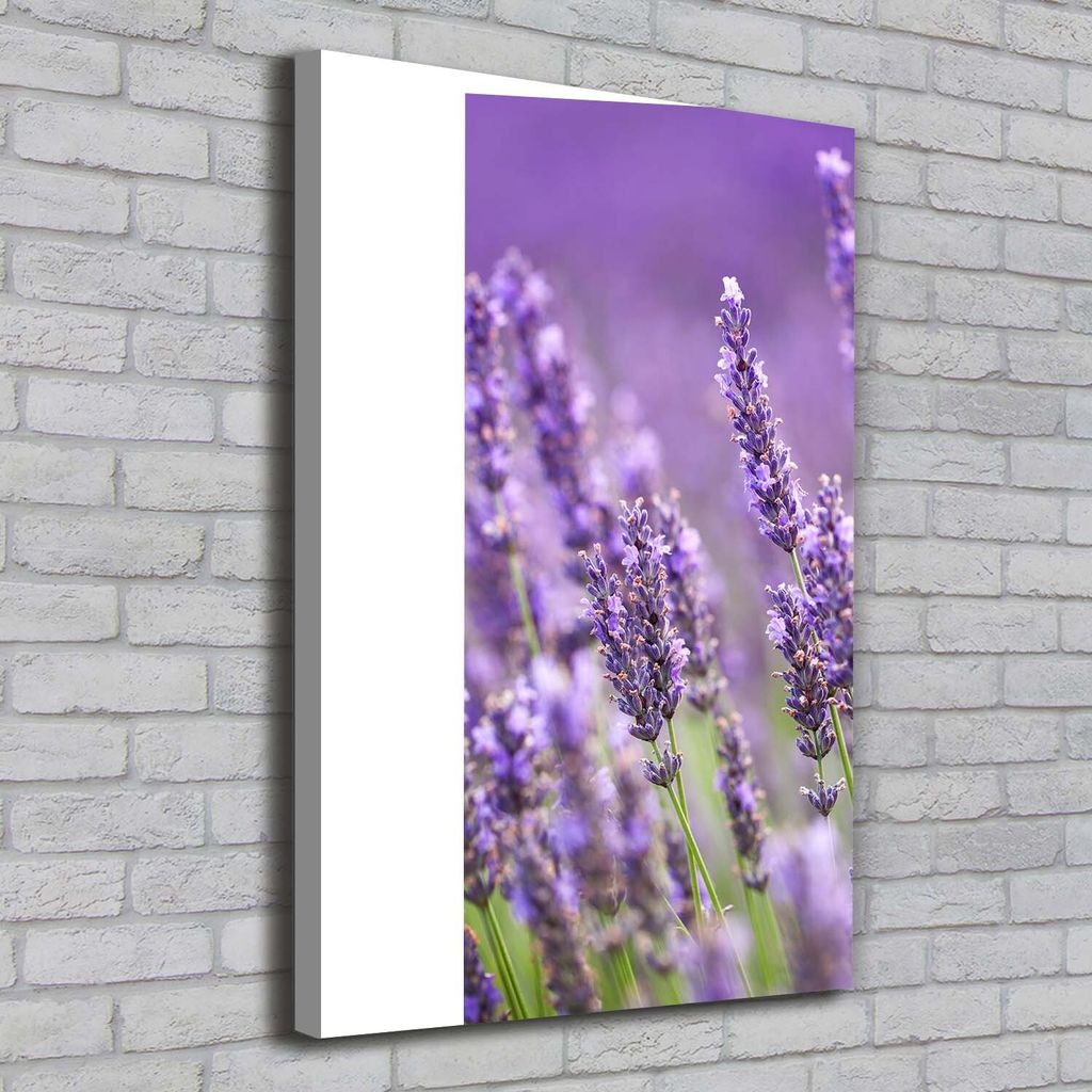 Tulup Leinwandbild - 70x100cm - Wandkunst - Drucke auf Leinwand - Leinwanddruck - Wohnzimmer Wanddekoration XXL - Wohnung Deko Kunstdrucke - Blum...