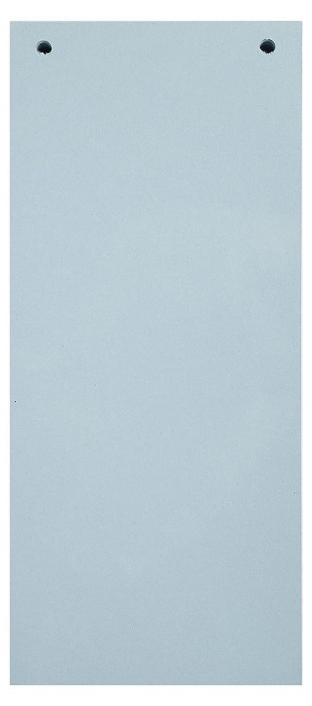 EXACOMPTA Trennstreifen 105 x 240 mm blau 180 g/qm 100 Produktbild 
