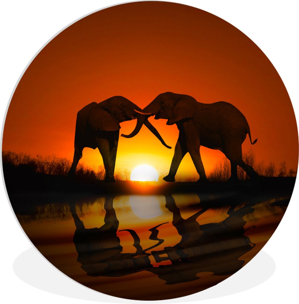 MuchoWow Rundes Wandbild - Runde Bilder Elefantenpaar bei Sonnenuntergang Ø 90 cm Kreis Wanddekoration Kunststoff - Wandkreis - Wandschmuck - Wa...