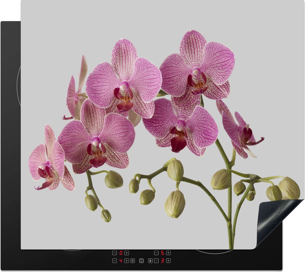 KitchenYeah Herdabdeckplatte Orchideen auf grauem Hintergrund , 57x51cm, Küche Deko, Glaskeramikfeld Herdabdeckung, Abdeckplatte fùr Kochfeld