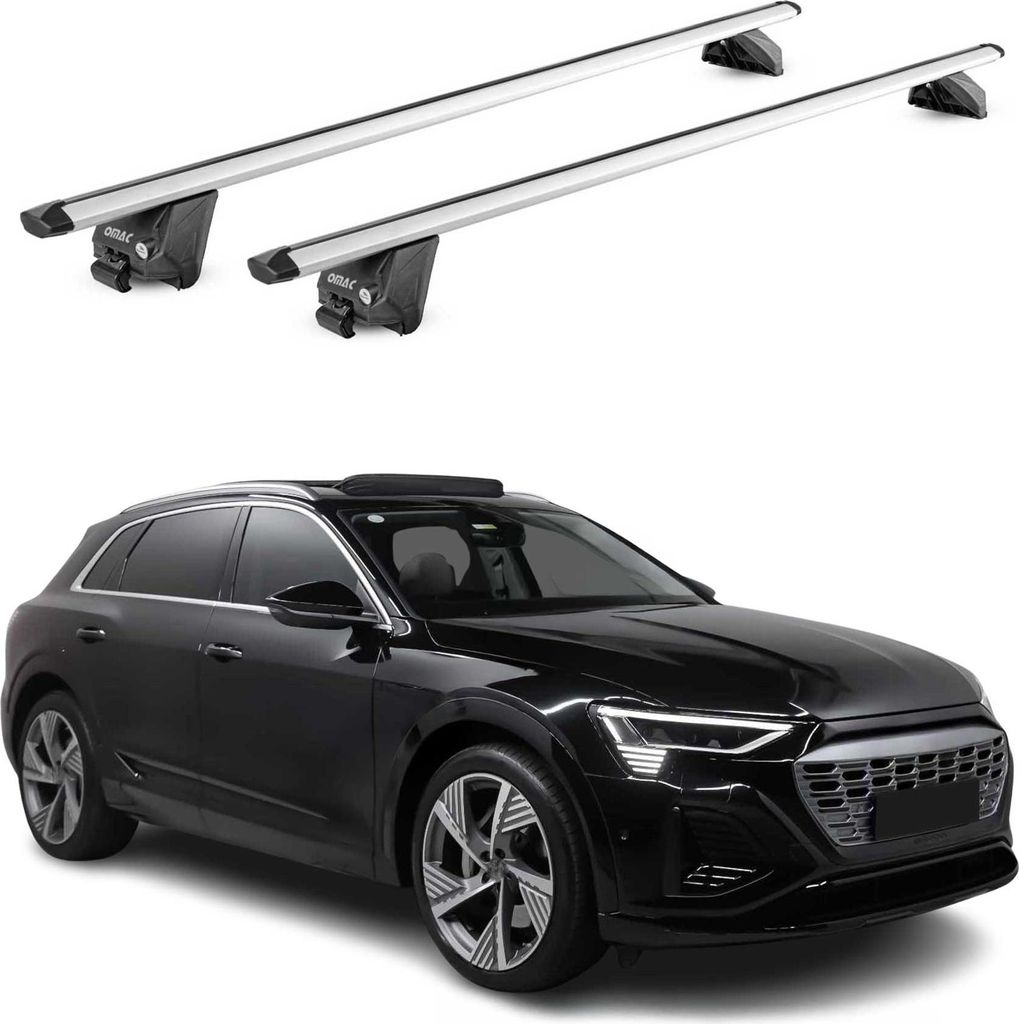Dachträger Grundtäger für Audi e-Tron 2018-2025 100kg Produktbild 