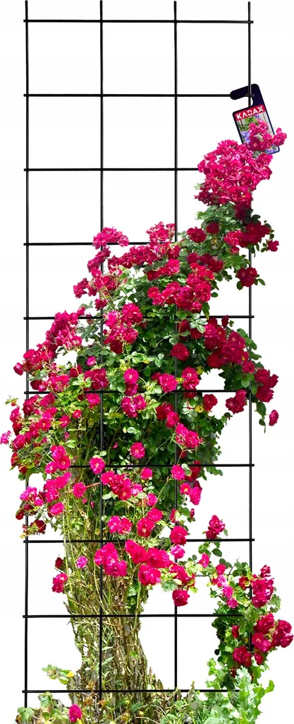 Support Mural pour Plantes et Fleurs Grimpantes en Métal Noir KADAX
