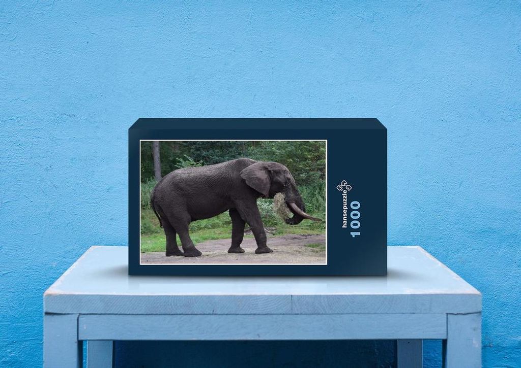 hansepuzzle 87147 - Elefant Puzzle, 1000 Teile, Tierwelt, 60,0 x 46,0cm mit hochwertiger Aufbewahrung, Kartonbox und wiederverschließbarem Beutel