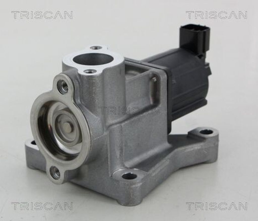 TRISCAN 8813 50015 AGR-Ventil für MAZDA 6 Kombi (GH) Abgasrückführungsventil